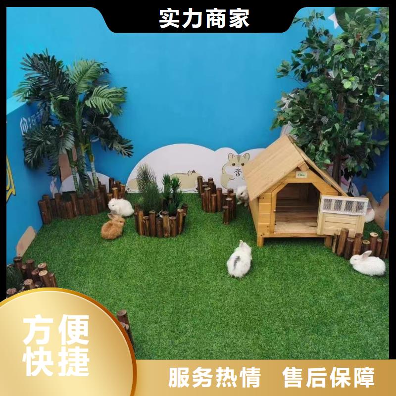 乐东县萌宠展出租