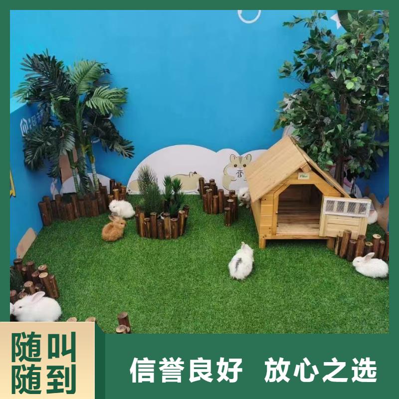 马戏团/羊驼景区杂技表演欢迎合作