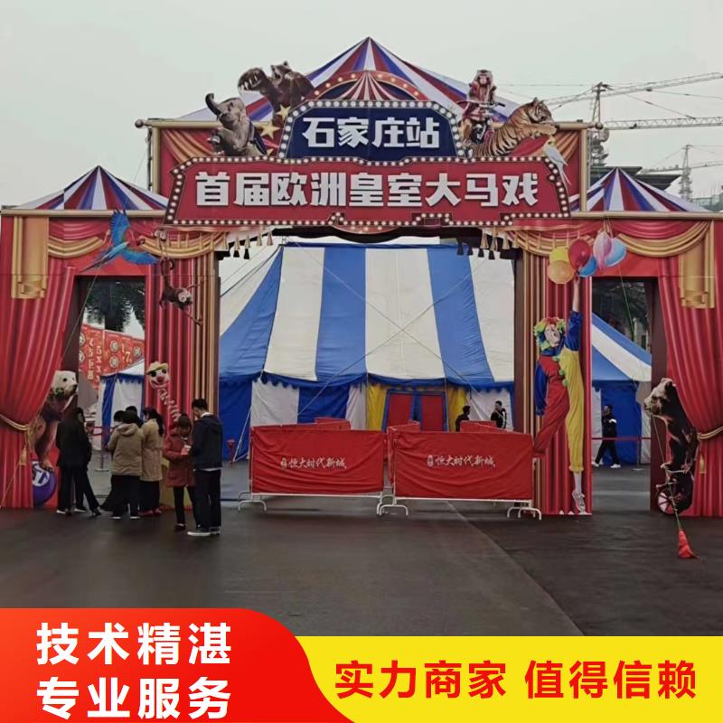马戏团/羊驼海狮表演出租质量保证
