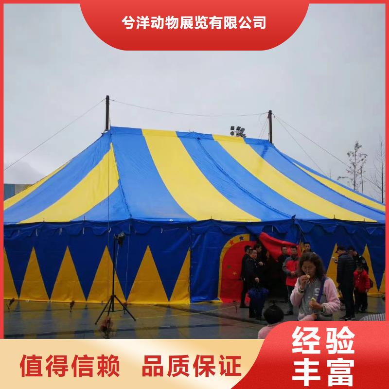 马戏团/羊驼【企鹅演出】放心
