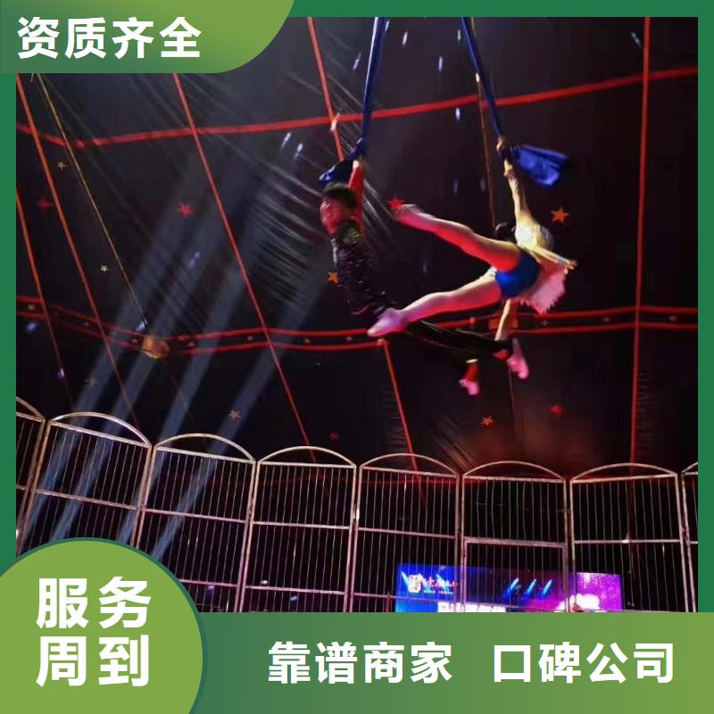 马戏团/羊驼,海狮表演出租专业公司