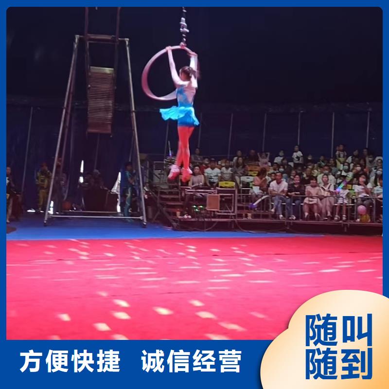 马戏团/羊驼羊驼出租团队