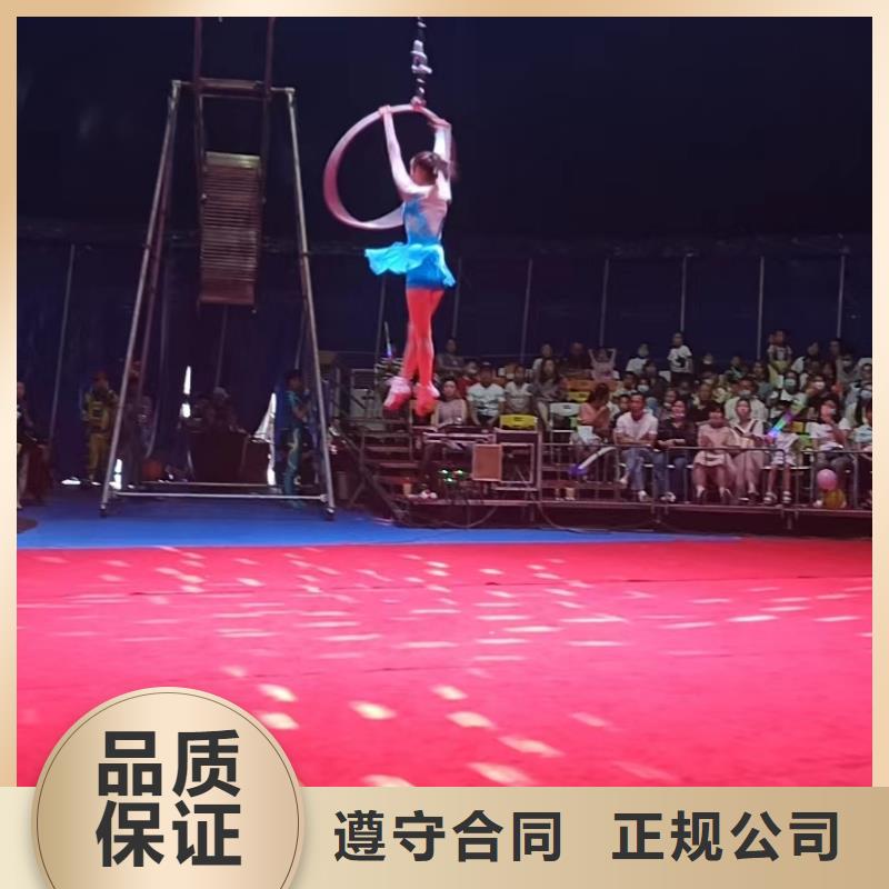 马戏团/羊驼【【企鹅演出】】从业经验丰富