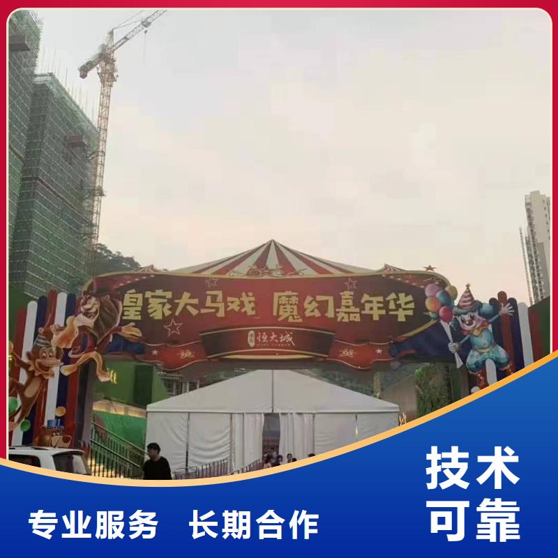 马戏团/羊驼,景区杂技表演服务周到