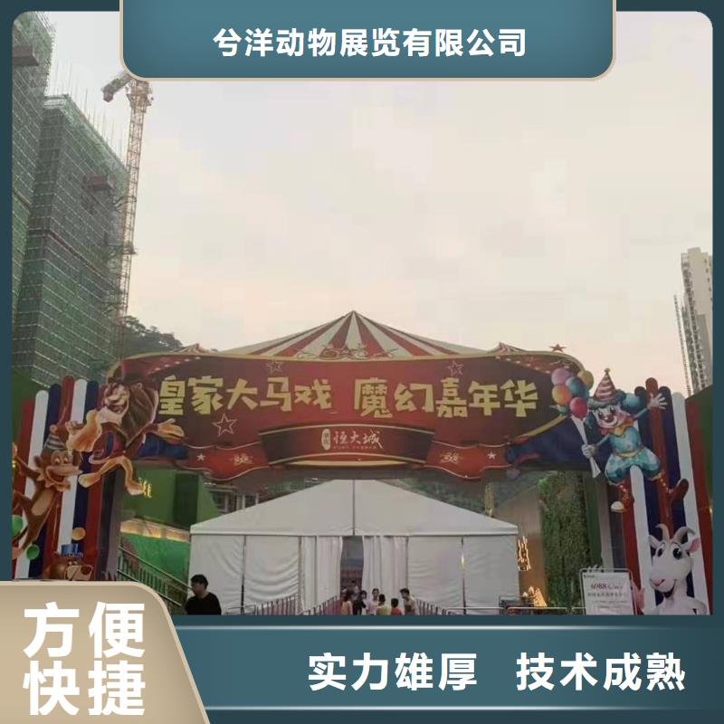 【马戏团/羊驼 出租表演海狮价格美丽】