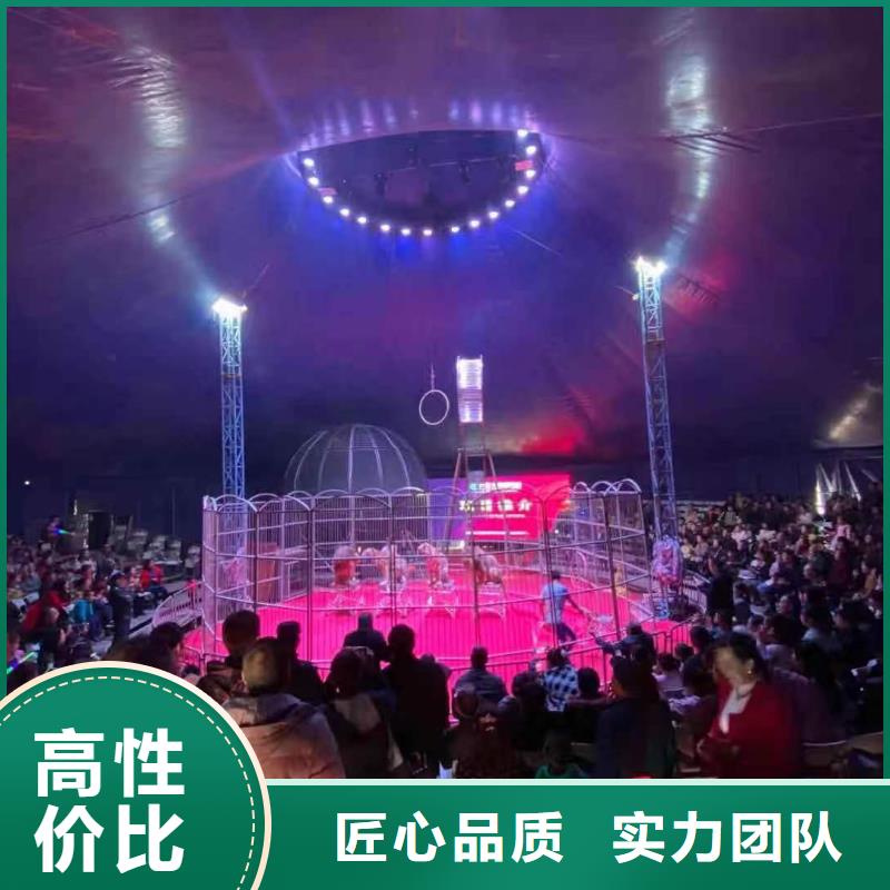 马戏团/羊驼马戏团表演专业公司