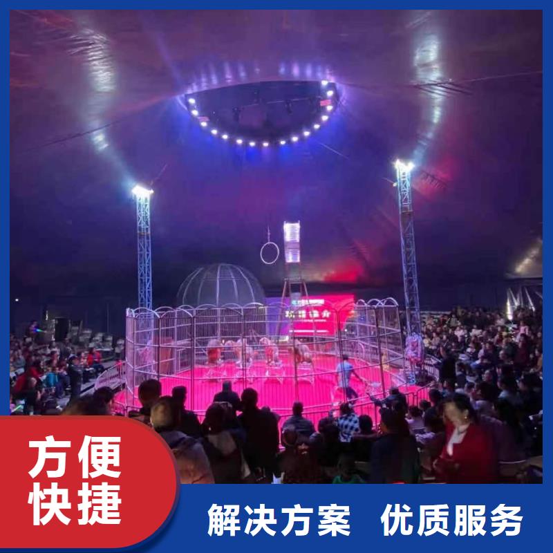 【马戏团/羊驼海狮表演出租多年行业经验】