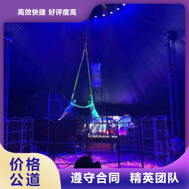 马戏团表演租赁附近