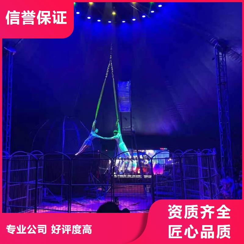 马戏团/羊驼海狮表演出租优质服务
