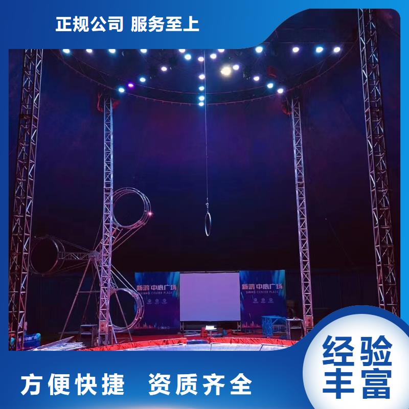 马戏团/羊驼动物杂技表演租赁专业品质