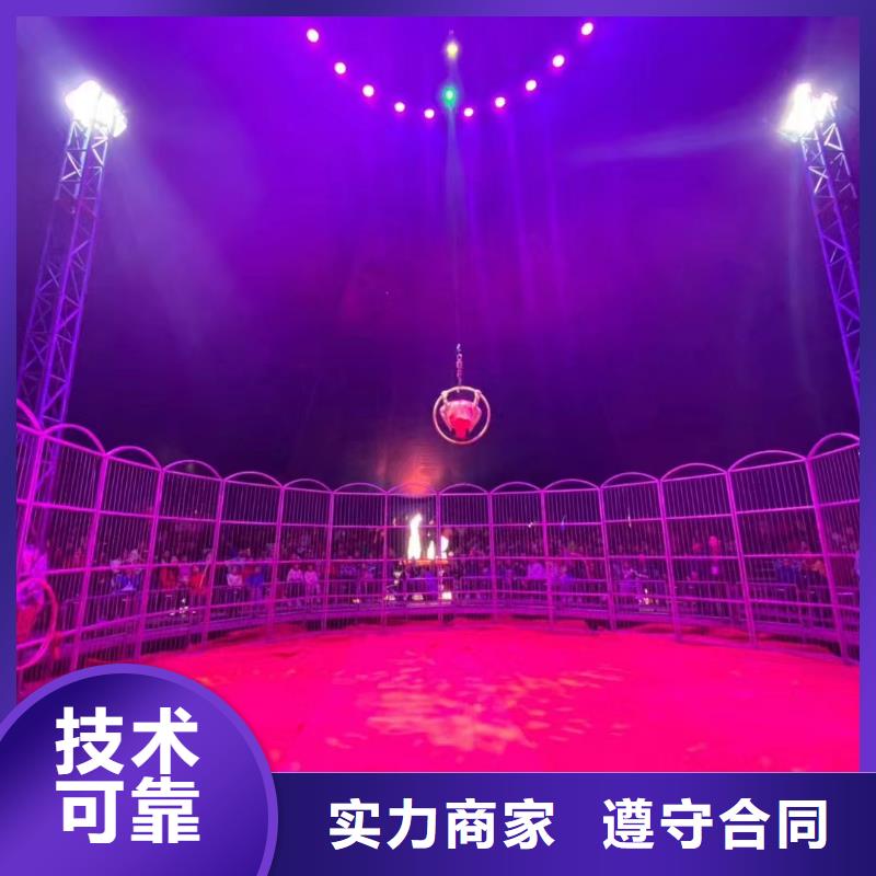 马戏团/羊驼 海豚表演遵守合同