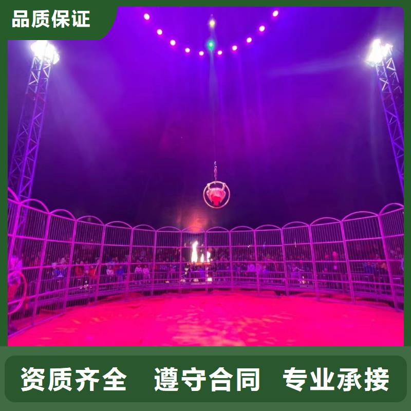 马戏团/羊驼杂耍演出实力商家