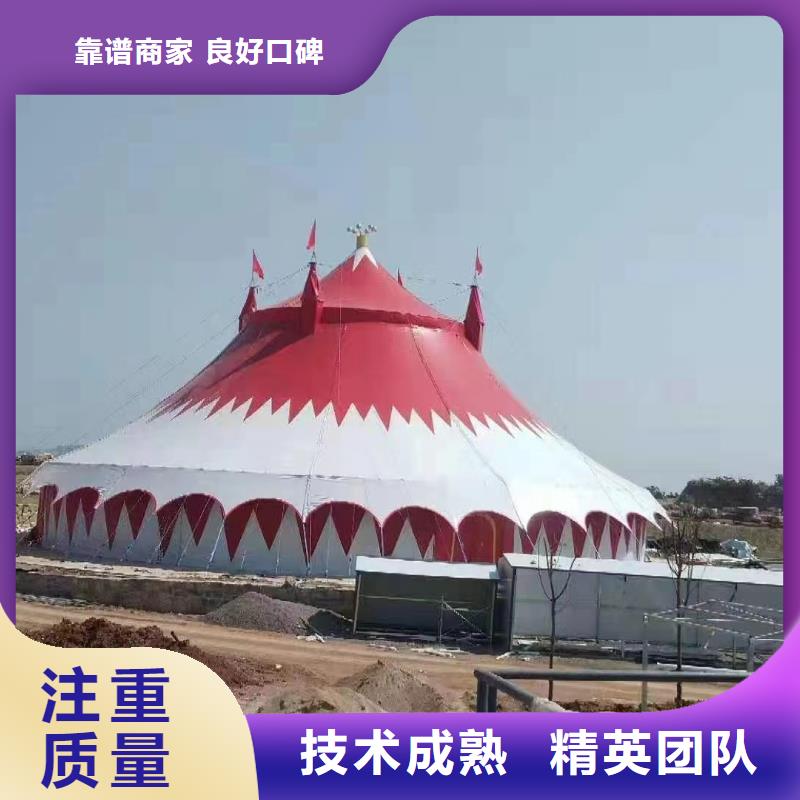马戏团/羊驼,景区杂技表演服务周到