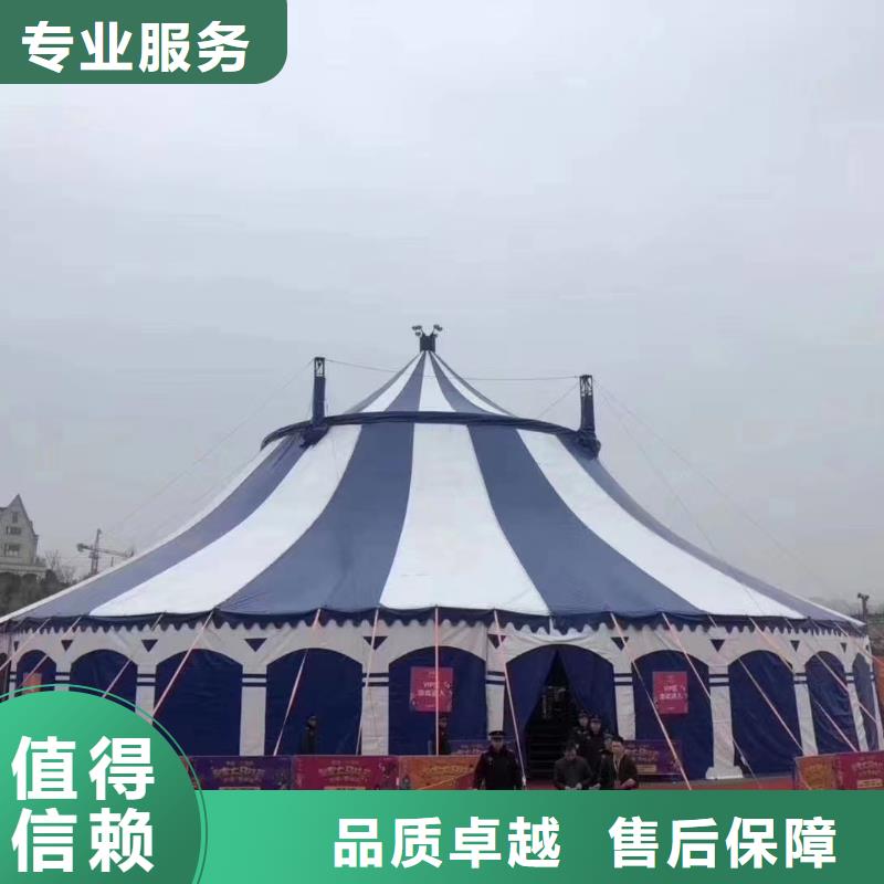 马戏团/羊驼动物表演租赁专业团队