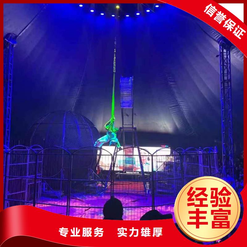 马戏团/羊驼美人鱼表演技术好
