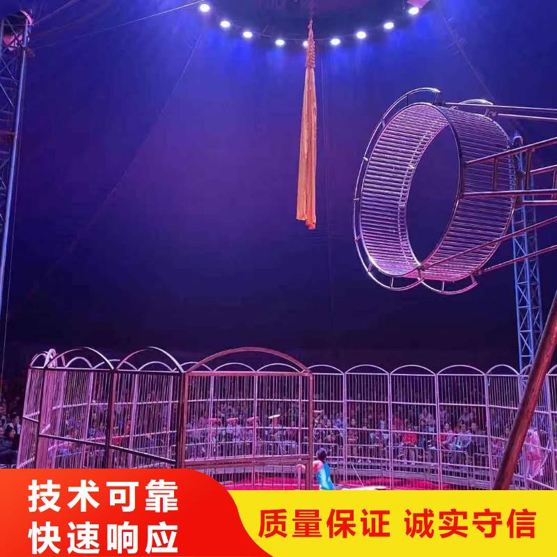 马戏团表演租赁一手资源