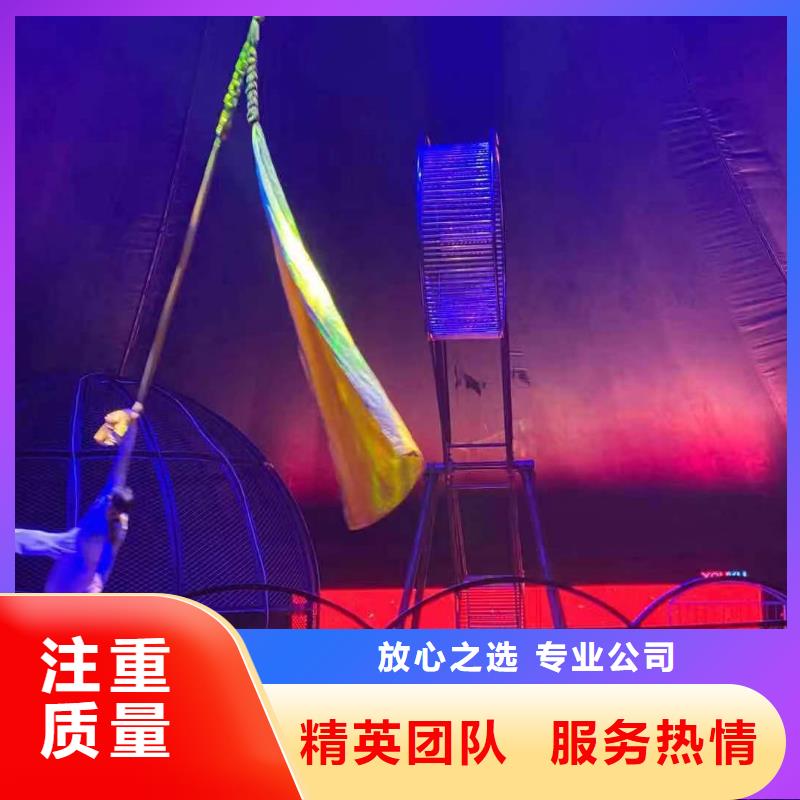 马戏团/羊驼_环球飞车表演出租实力商家