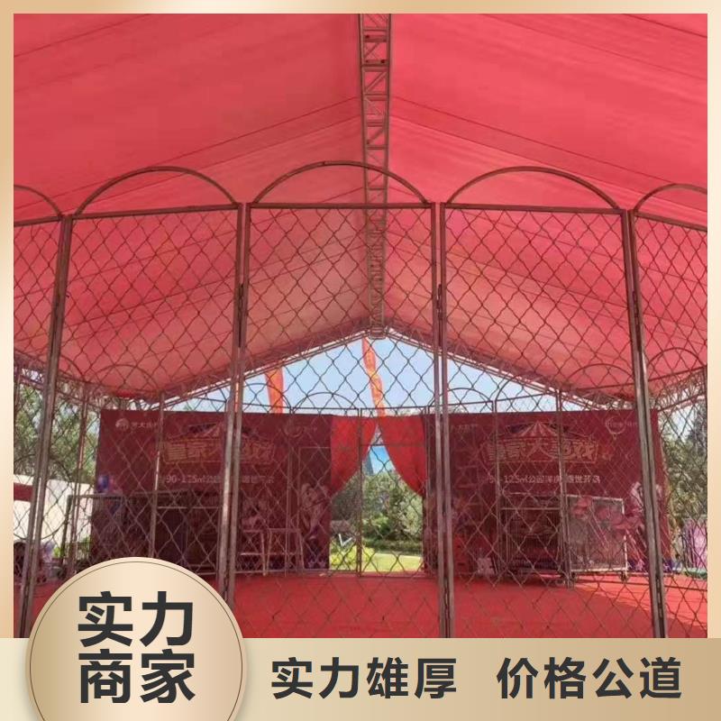马戏团/羊驼鹦鹉表演租赁优质服务