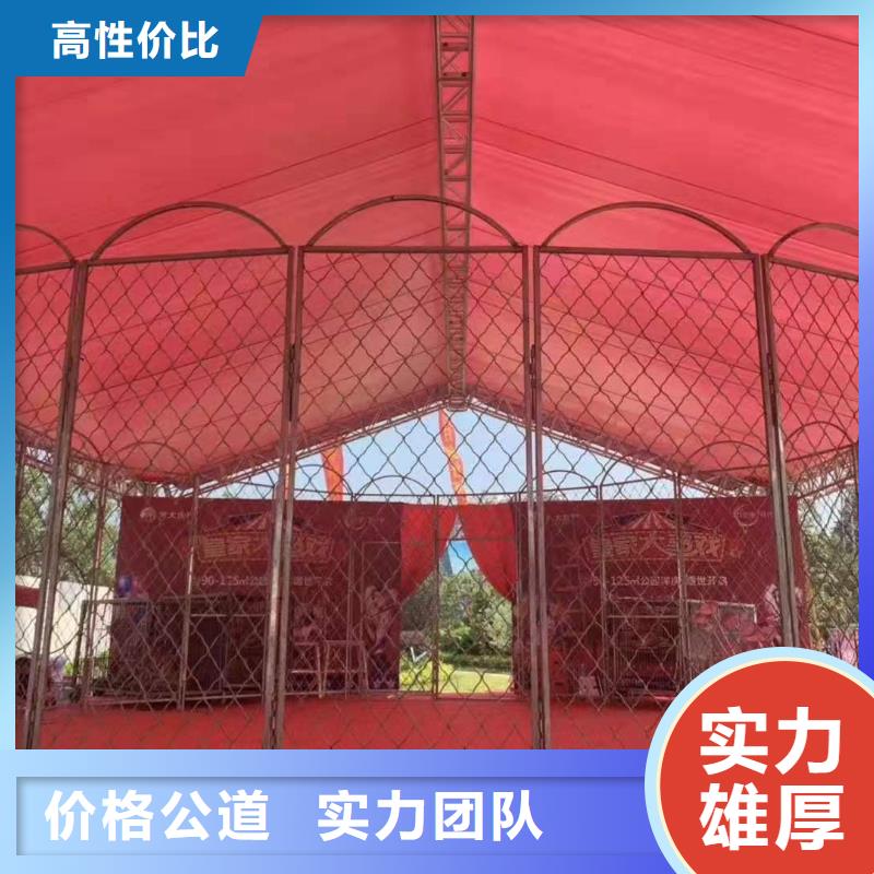 马戏团/羊驼出租表演鹦鹉服务周到