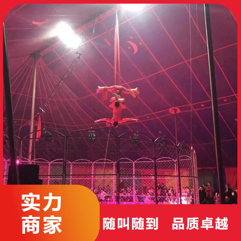 马戏团/羊驼-企鹅出租表演品质卓越