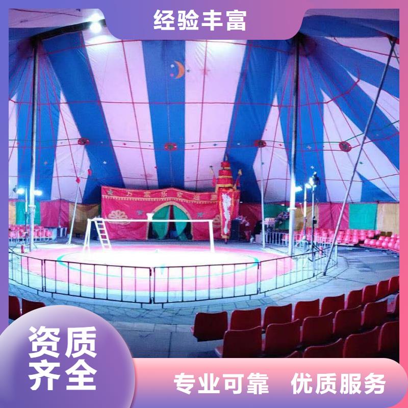 马戏团/羊驼动物杂技表演租赁专业品质