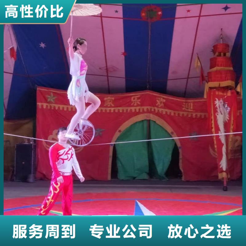 马戏团/羊驼【【企鹅演出】】从业经验丰富