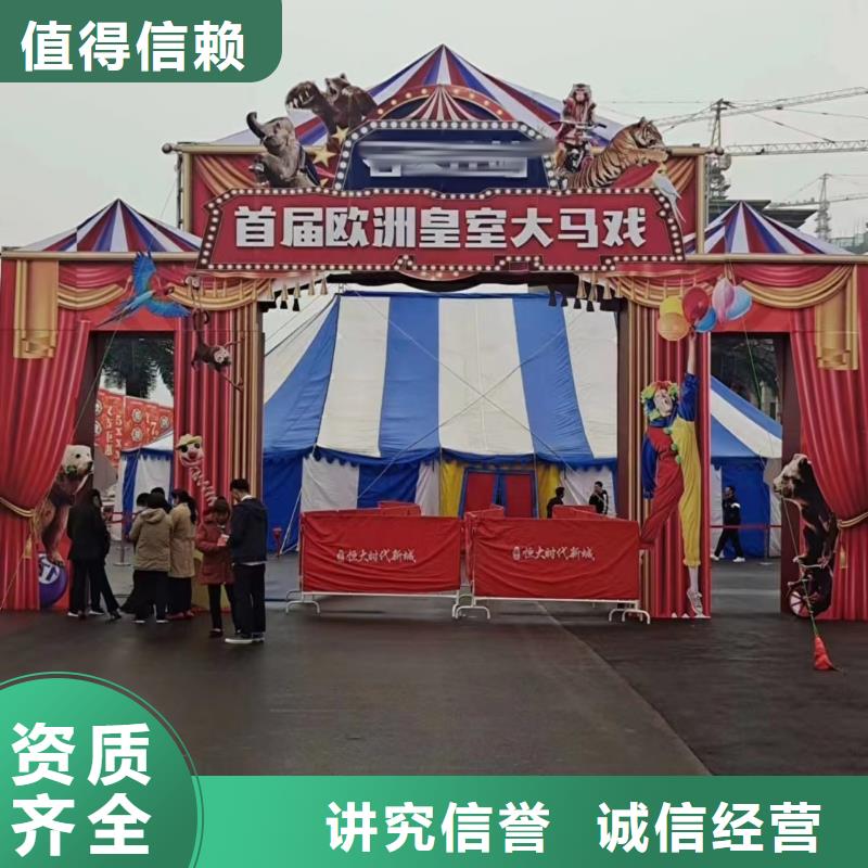 马戏团/羊驼动物表演租赁专业团队