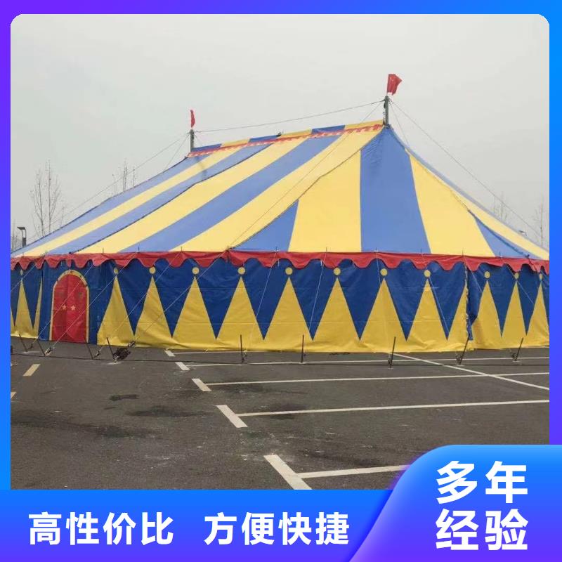 马戏团/羊驼-动物杂技表演精英团队