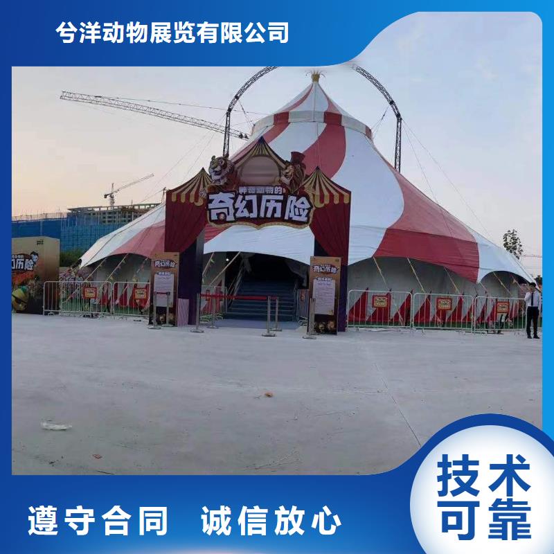 马戏团/羊驼鹦鹉表演租赁高性价比