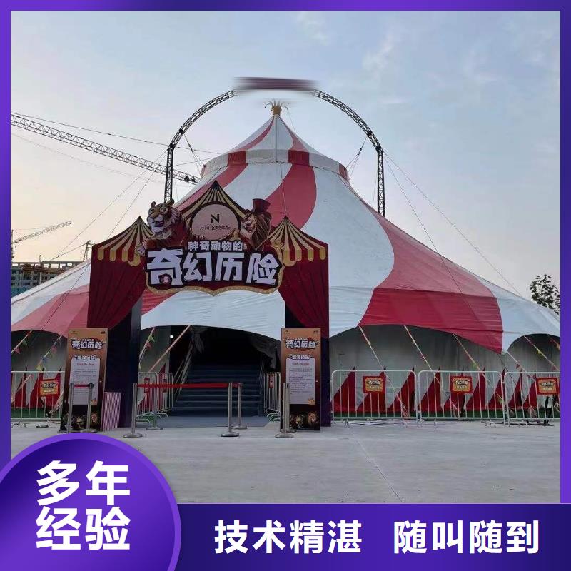 小马戏表演出租图片