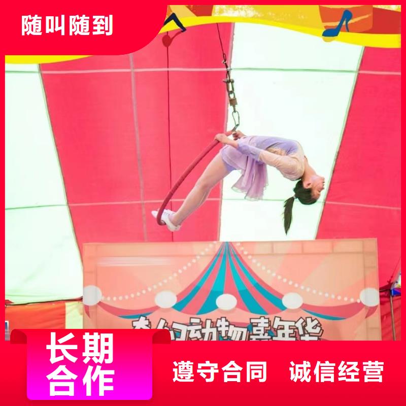 马戏团表演出租活动方案