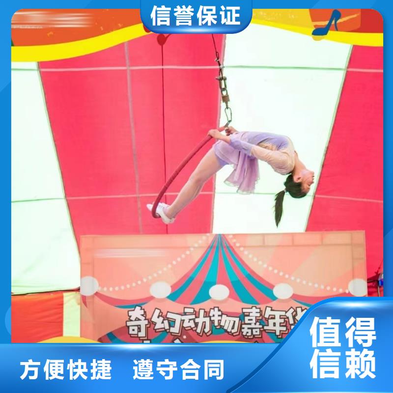 马戏团/羊驼死轮表演2025公司精心