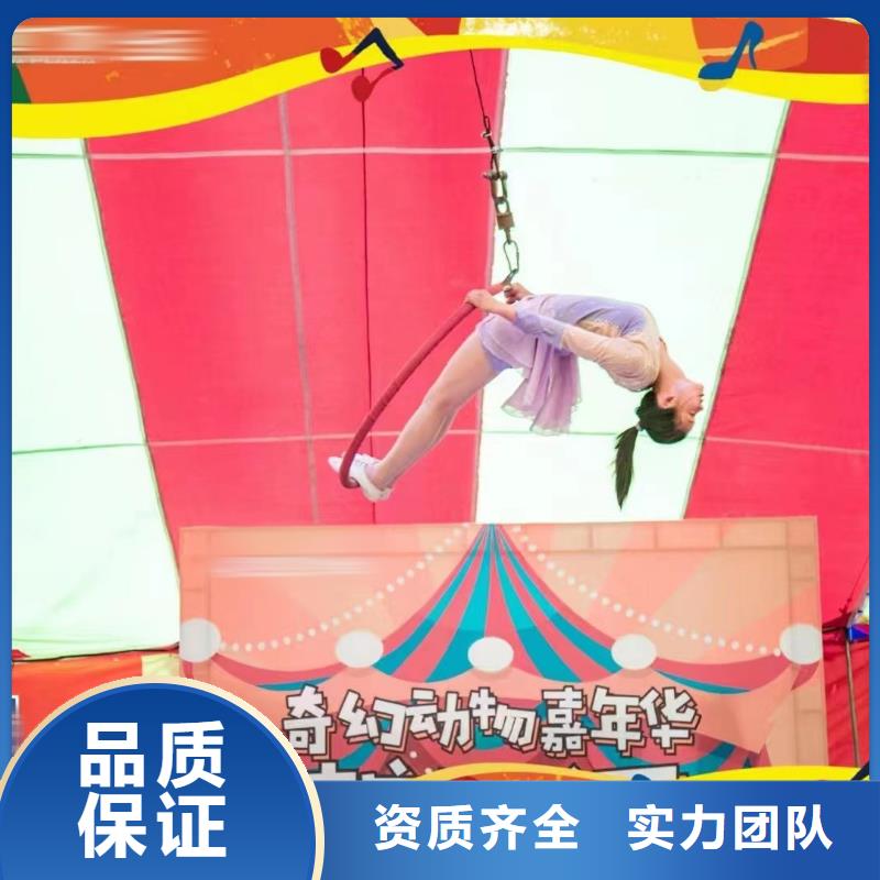马戏团/羊驼-【美人鱼出租演出】信誉良好