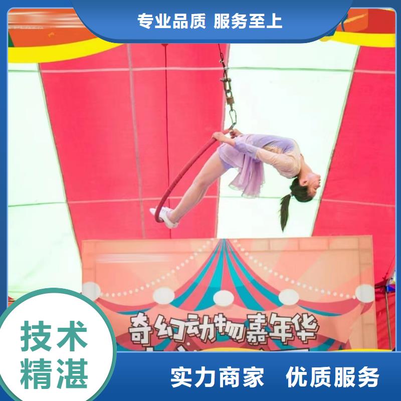 马戏团/羊驼出租表演鹦鹉欢迎询价