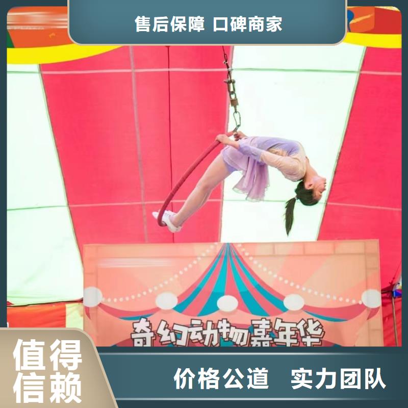 马戏团/羊驼景区杂技表演欢迎合作