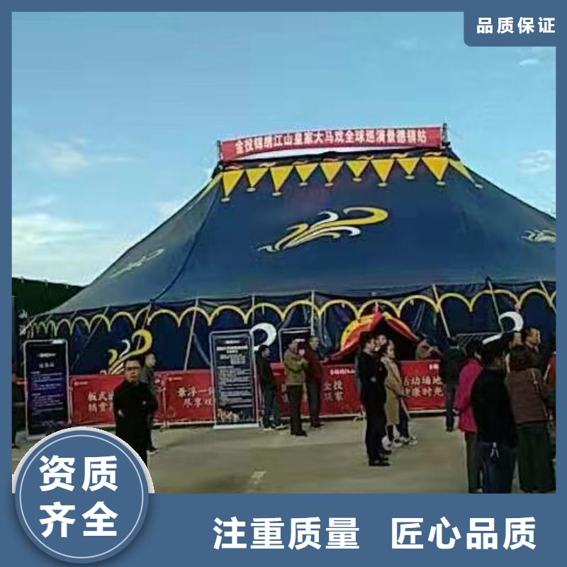 【马戏团/羊驼】海狮表演租赁一站式服务