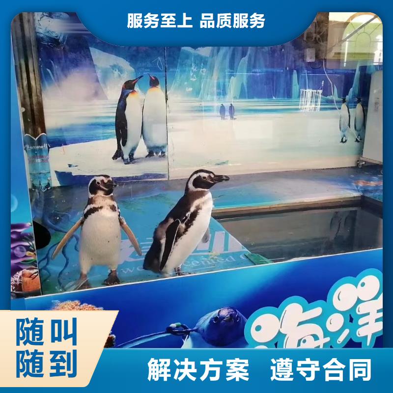 海洋主题动物表演水族海洋展专业