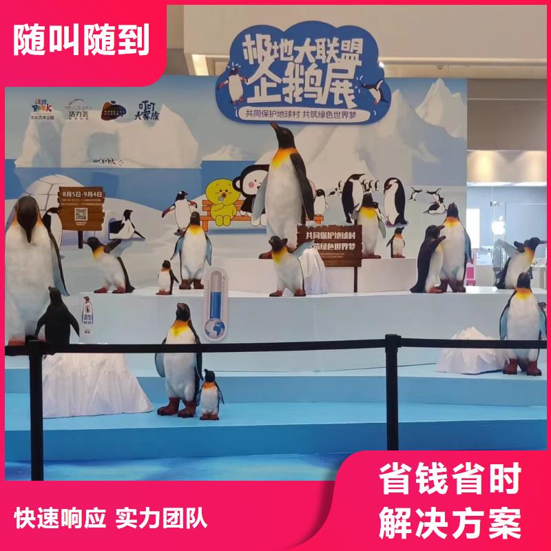 海洋主题动物表演萌宠动物展出租实力商家