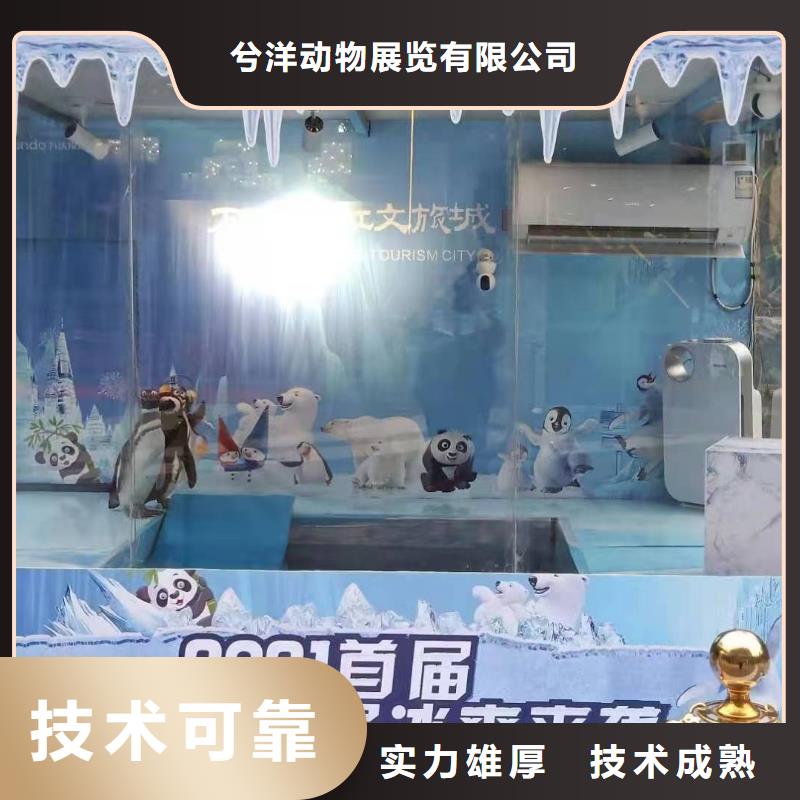 海洋主题动物表演景区杂技表演一站式服务