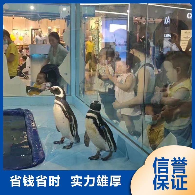 海洋生物展出租一手资源