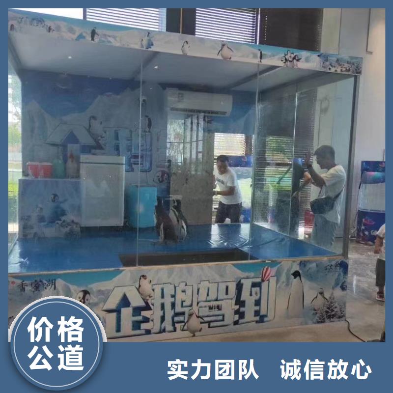 海洋展租赁