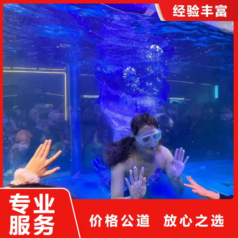 【海洋主题动物表演】【海狮杂技表演】经验丰富