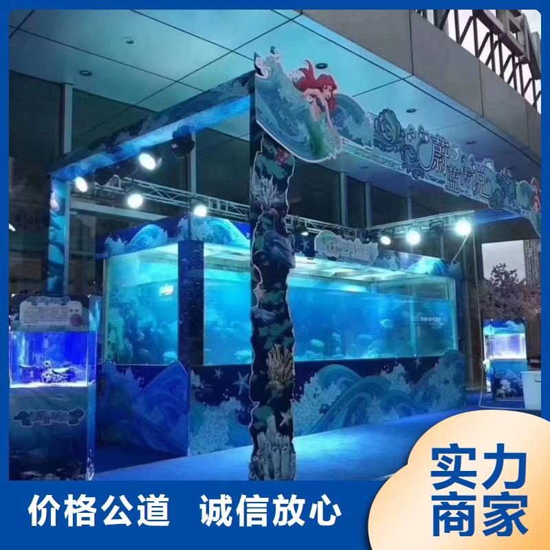 海洋主题动物表演_出租表演企鹅2025公司