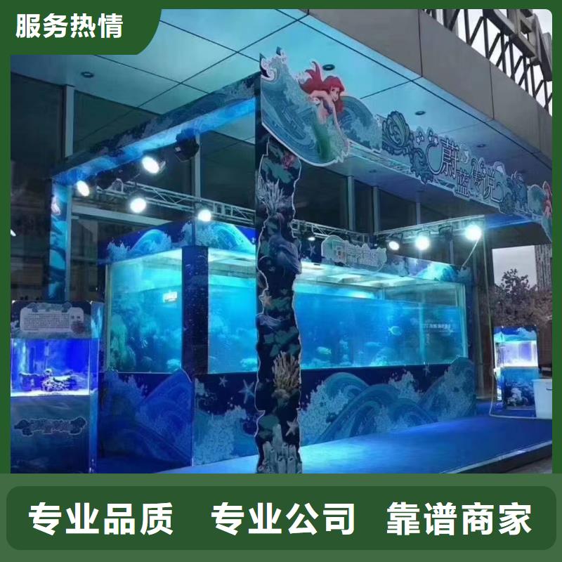 海洋主题动物表演,杂技表演诚信经营