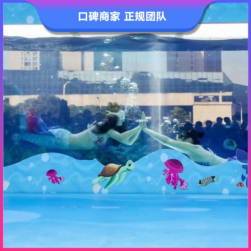 海洋主题动物表演,出租海狮表演服务至上