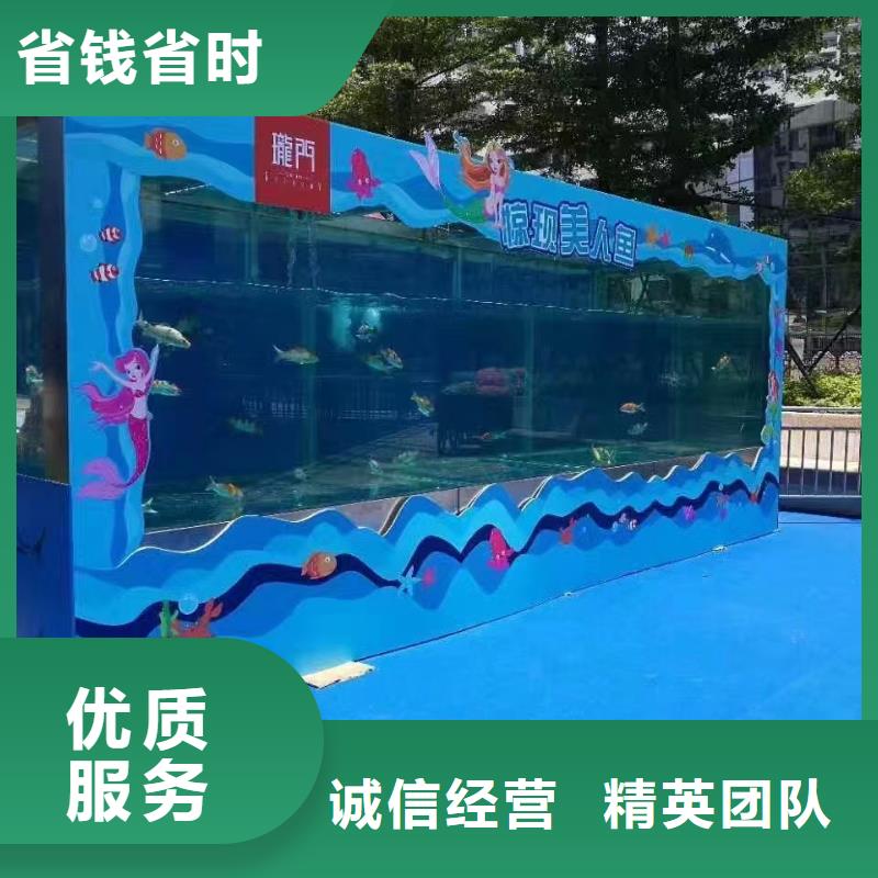 海洋主题动物表演出租马戏表演优质服务