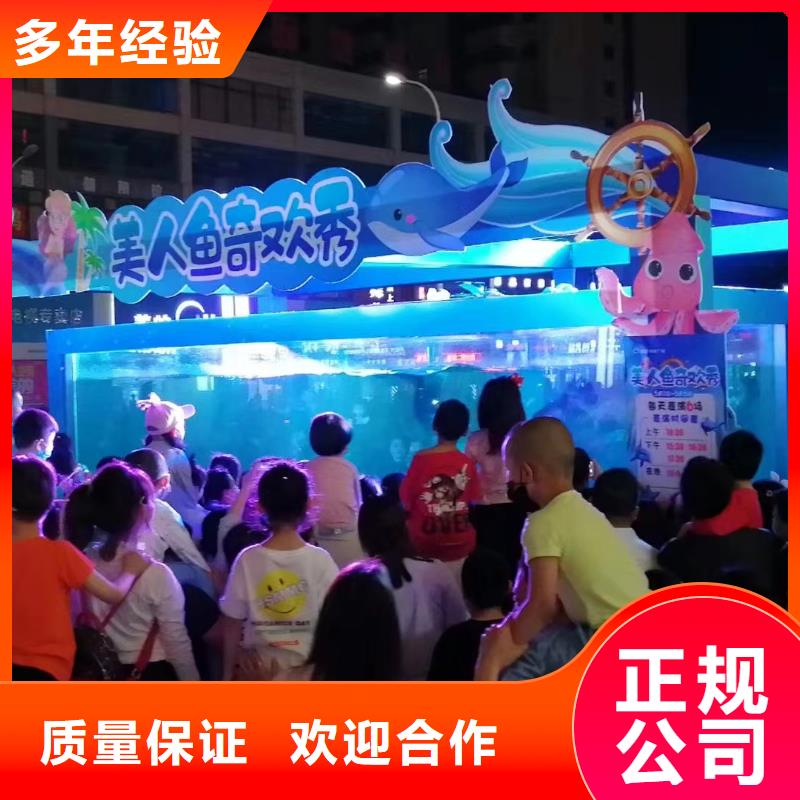 海洋主题动物表演【海狮表演】技术好