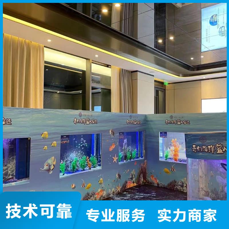 海洋主题动物表演_羊驼出租从业经验丰富