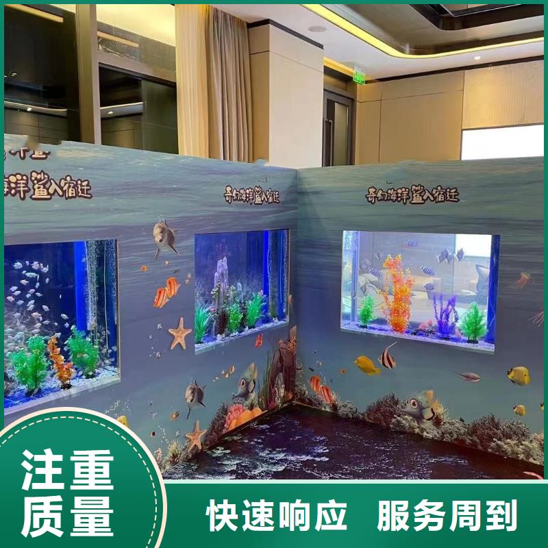 【海洋主题动物表演动物杂技表演租赁实力雄厚】