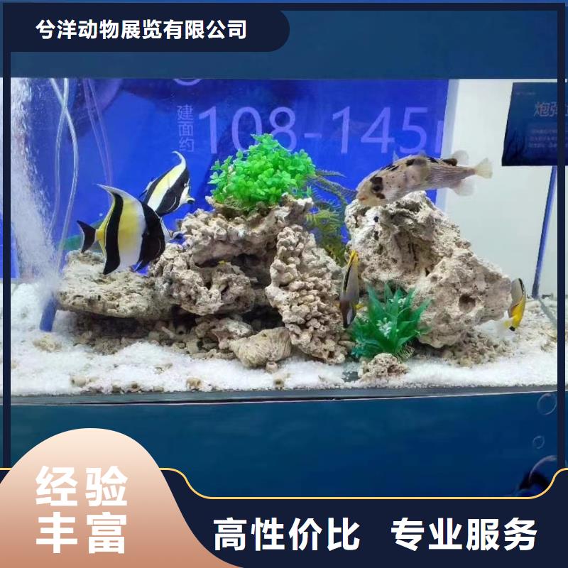 海洋生物展租赁生产厂家欢迎咨询订购